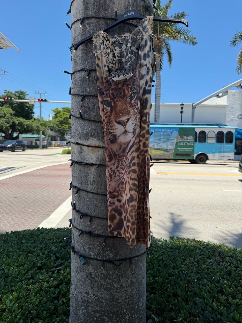 Leopard Print Sheer Maxi Dress with Big Cat Motif